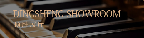 上海蒂伊乐器有限公司