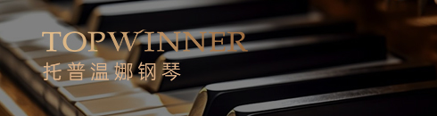 上海蒂伊乐器有限公司