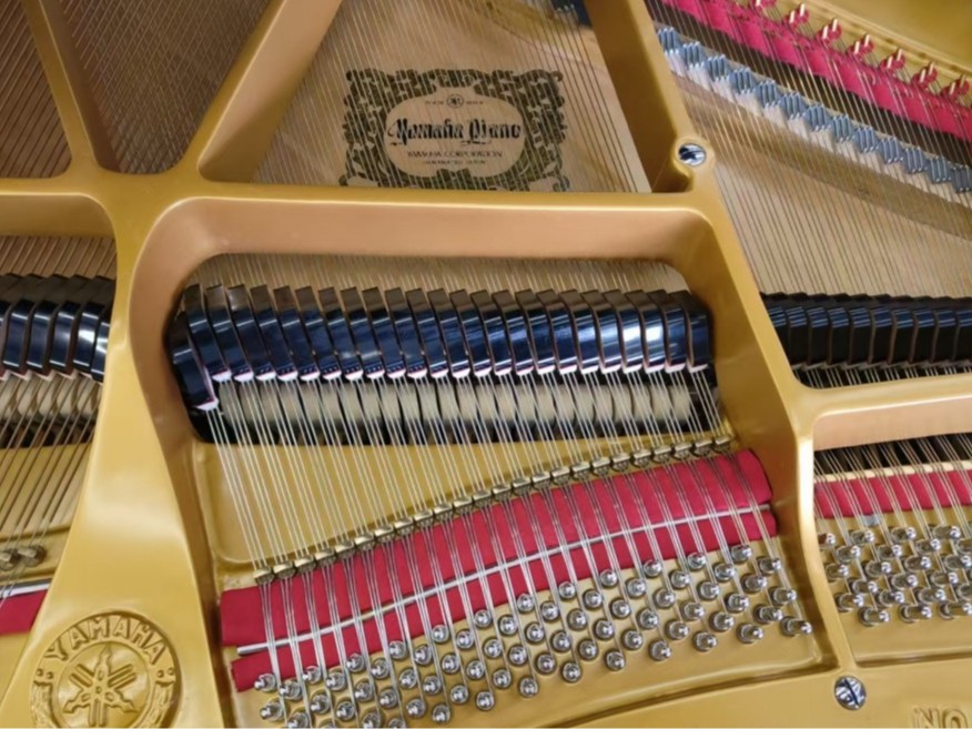 钢琴为啥能弹出动人旋律？揭秘声音背后的秘密