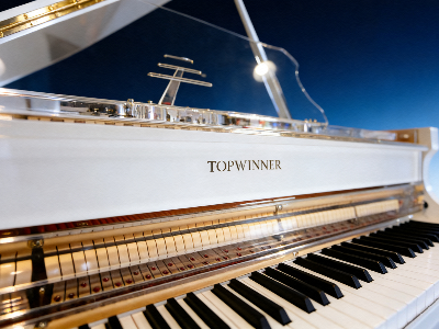 TOPWINNER DG-158 水晶三角钢琴