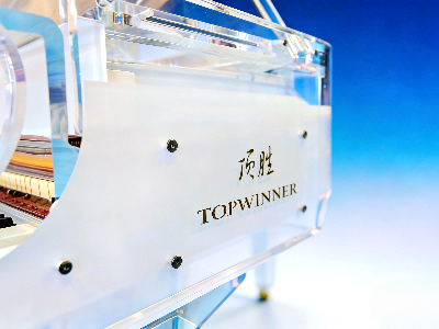 TOPWINNER DG-158 水晶三角钢琴