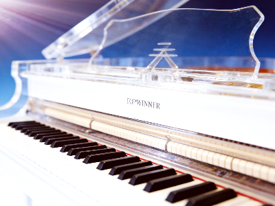 TOPWINNER DG-158 水晶三角钢琴