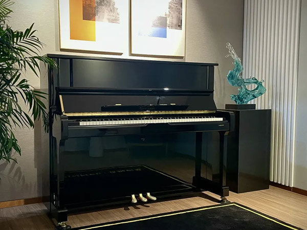 TOPWINNER钢琴28年行业沉淀，满足琴者的高水准需求！
