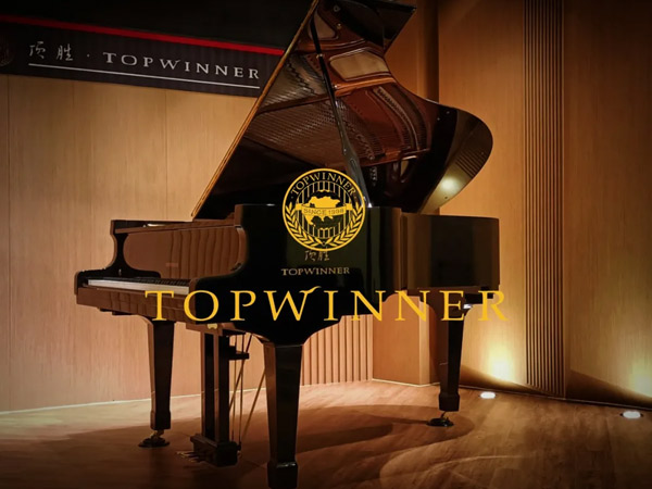 带你揭秘TOPWINNER好音色的秘密—DONUTS反射孔！