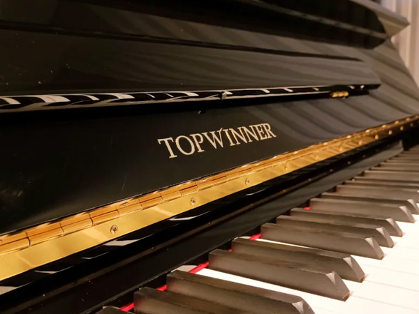 TOPWINNER 钢琴艺术品鉴委员会 —为您的专属爱琴护航！