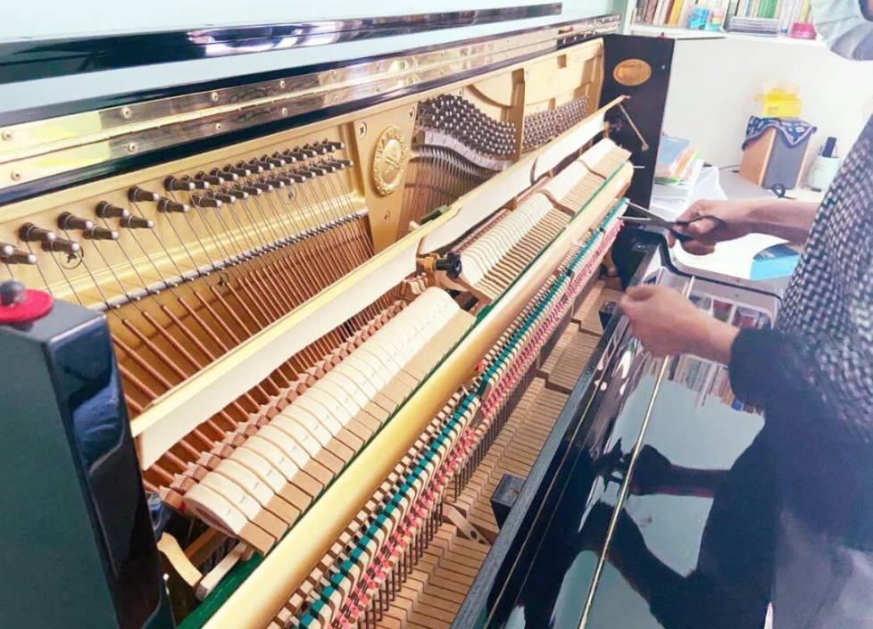 琴友必藏！日本二手钢琴闹小情绪？这样养超省心