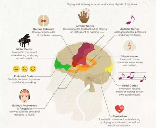 629e52c9-5105-47b1-87e9-a071d915efa7