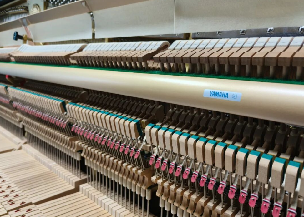 买琴避坑｜新手必看！新琴旧琴咋区分？3招秒懂