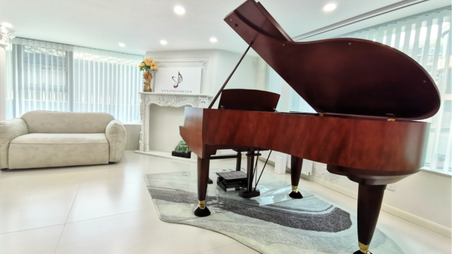 钢琴回弹：揭开品质与价格的神秘面纱